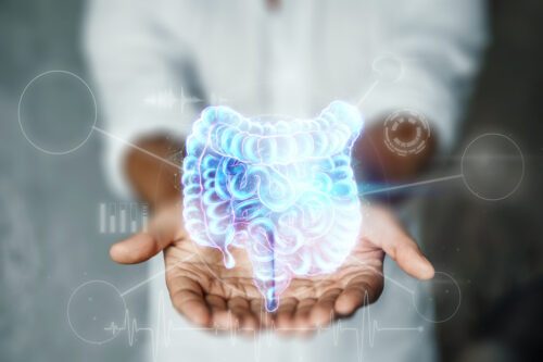 santé-digestive-organe-abdominal-intestin